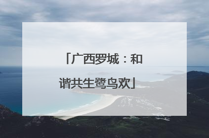 广西罗城：和谐共生鹭鸟欢